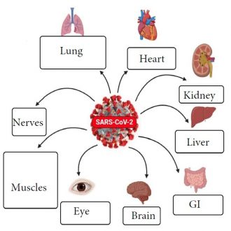 fig3